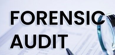 Audit Banner